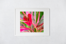 Load image into Gallery viewer, Abstract, Bright Colors, Tropical Plants, Oahu, Hawaii, Framed Matted Print, Image