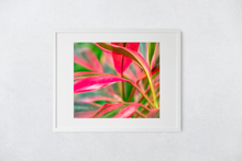 Load image into Gallery viewer, Abstract, Bright Colors, Tropical Plants, Oahu, Hawaii, Framed Matted Print, Image
