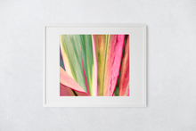 Load image into Gallery viewer, Abstract, Bright Colors, Tropical Plants, Oahu, Hawaii, Framed Matted Print, Image
