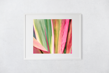 Load image into Gallery viewer, Abstract, Bright Colors, Tropical Plants, Oahu, Hawaii, Framed Matted Print, Image