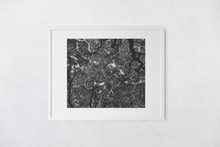 Load image into Gallery viewer, Black and White, Monkeypod Tree, Branches, Leaves, Oahu, Hawaii, Matted Photo Print, Image