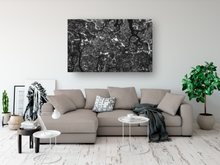 Load image into Gallery viewer, Black and White, Monkeypod Tree, Branches, Leaves, Oahu, Hawaii, Metal Art Print, Living Room Interior, Image