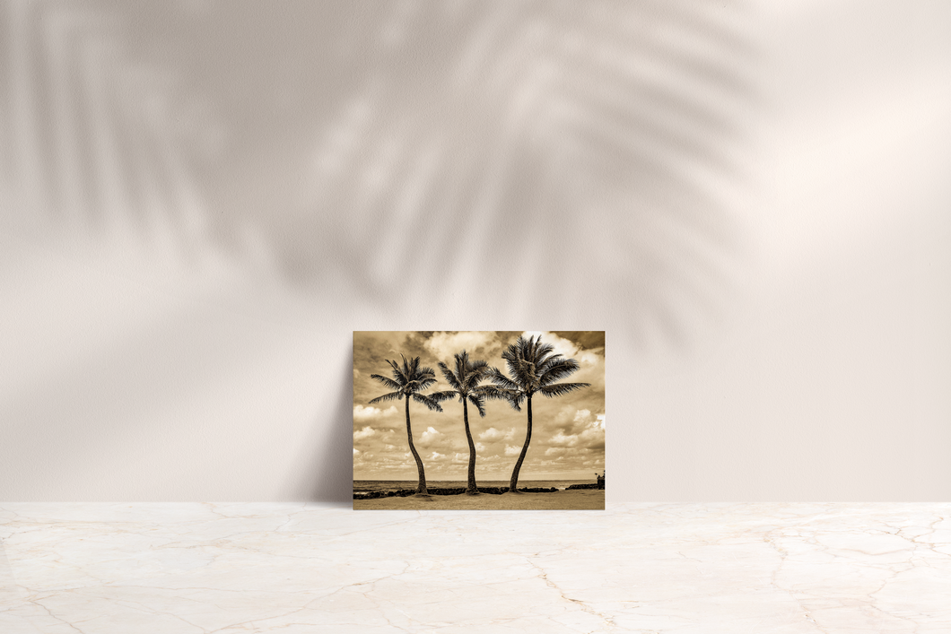 Tree Brothers (Sepia)