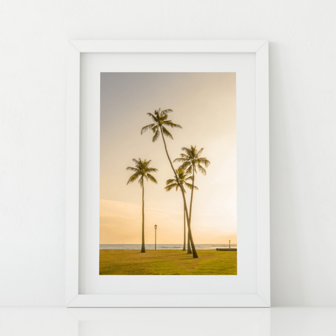 Palm Trees, Golden Sunset, Ocean, Grass, Waikiki, Oahu, Hawaii, Matted Phtoto Print, Image