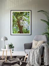 Load image into Gallery viewer, Moringa Tree, Green Leaves, Branches, Sunburst, Sky, Oahu, Hawaii, Framed Matted Photo Print, Living Room Interior, Image
