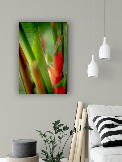 Red heliconia, lush green jungle foliage, Abstract, Manoa, Oahu, Hawaii, Metal Art Photo Print, Living Room Interior, Image