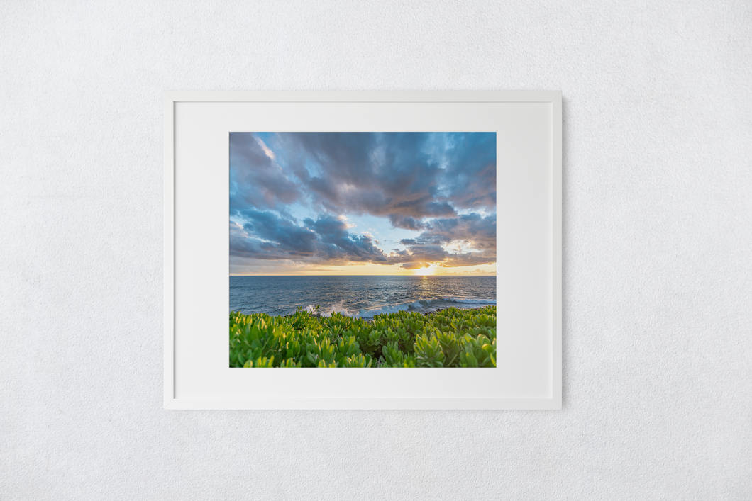 Puffy clouds, pastel sky, sunset, ocean, green plants, Oahu, Hawaii, Matted Photo Print, Image
