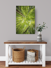 Load image into Gallery viewer, Abstract photography, green bamboo, sky view, Lulumahu Falls, Oahu, Hawaii, Metal Art Print, Entryway Interior, Image
