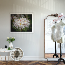 Load image into Gallery viewer, White, Pink, plumeria flowers, bouquet, Oahu, Hawaii, Framed Matted Photo Print, Bedroom, Dressing Room Interior, Image
