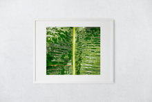 Load image into Gallery viewer, Closeup, Abstract, Green Leaf, Raindrops, Kaneohe, Oahu, Hawaii, Matted Photo Print, Image
