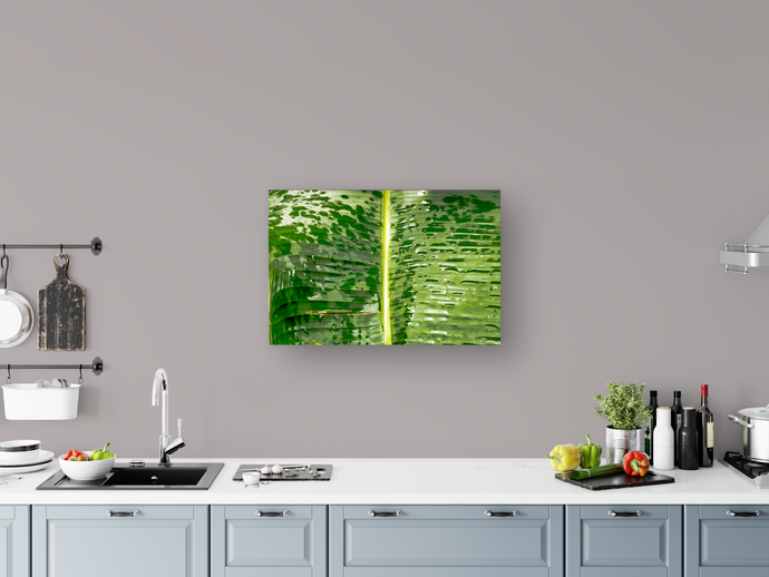 Closeup, Abstract, Green Leaf, Raindrops, Kaneohe, Oahu, Hawaii, Metal Art Print, Kitchen Interior, Image