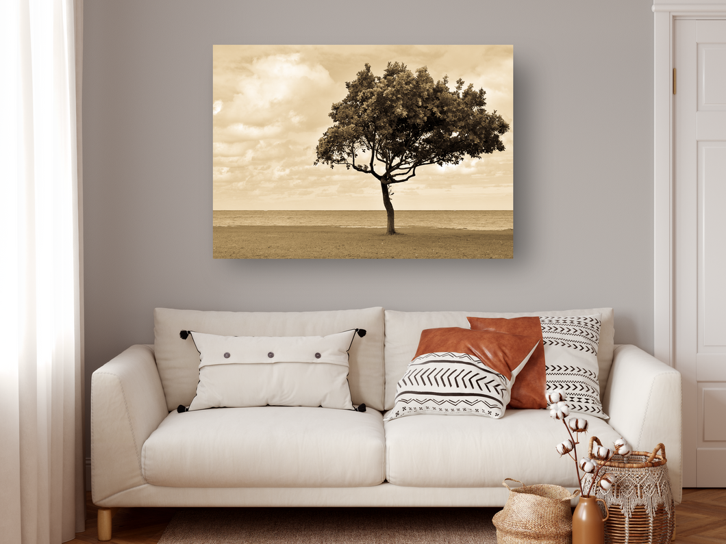 Muted sepia tones, clouds, ocean, grass, tree, Oahu, Hawaii, Metal Art Print, Living Room Interior, Image
