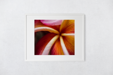 Load image into Gallery viewer, Macro, Pink, Orange, Plumeria Petals, Flower, Oahu, Hawaii, Matted Photo Print, Image
