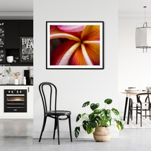 Load image into Gallery viewer, Macro, Pink, Orange, Plumeria Petals, Flower, Oahu, Hawaii, Framed Matted Print, Interior Entryway, Image
