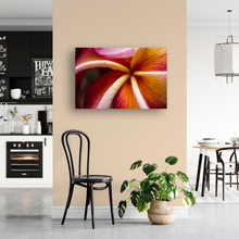 Load image into Gallery viewer, Macro, Pink, Orange, Plumeria Petals, Flower, Oahu, Hawaii, Metal Art Print, Interior Entryway, Image
