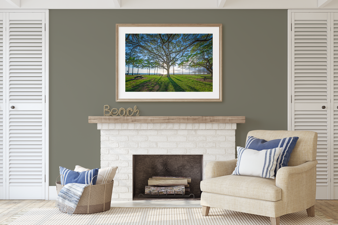 Tree, Branches, Beach Park, Ocean, Sun, Shadows, Waikiki, Oahu, Hawaii, Framed Matted Art Print, Living Room Interior, Image