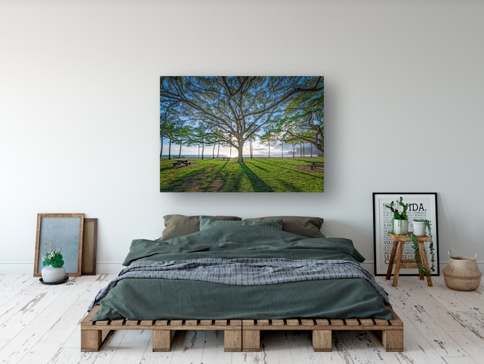 Tree, Branches, Beach Park, Ocean, Sun, Shadows, Waikiki, Oahu, Hawaii, Metal Art Print, Bedroom Interior, Image