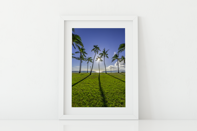 Blue sky, Green Grass, Palm Trees, Sun, Ocean, Shadows, Waikiki Beach Park, Oahu, Hawaii, Matted Photo Print, Image