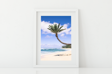 Load image into Gallery viewer, Coconut Palm Tree, Sand, Ocean, Clouds, North Shore, Oahu, Hawaii, Matted Photo Print, Image
