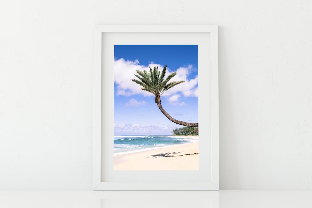 Coconut Palm Tree, Sand, Ocean, Clouds, North Shore, Oahu, Hawaii, Matted Photo Print, Image