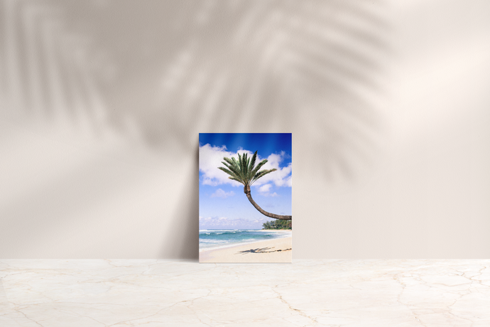 Coconut Palm Tree, Sand, Ocean, Clouds, North Shore, Oahu, Hawaii, Folded Note Card, Image