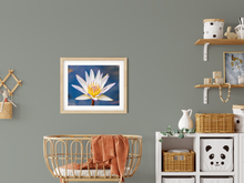 Load image into Gallery viewer, Water Lily, Oahu, Hawaii, Kids&#39; Room Interior, Image
