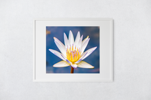 Load image into Gallery viewer, Water Lily, Oahu, Hawaii, Framed Matted Print, Image
