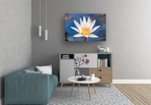 Load image into Gallery viewer, Water Lily, Oahu, Hawaii, Zen Room Interior, Image
