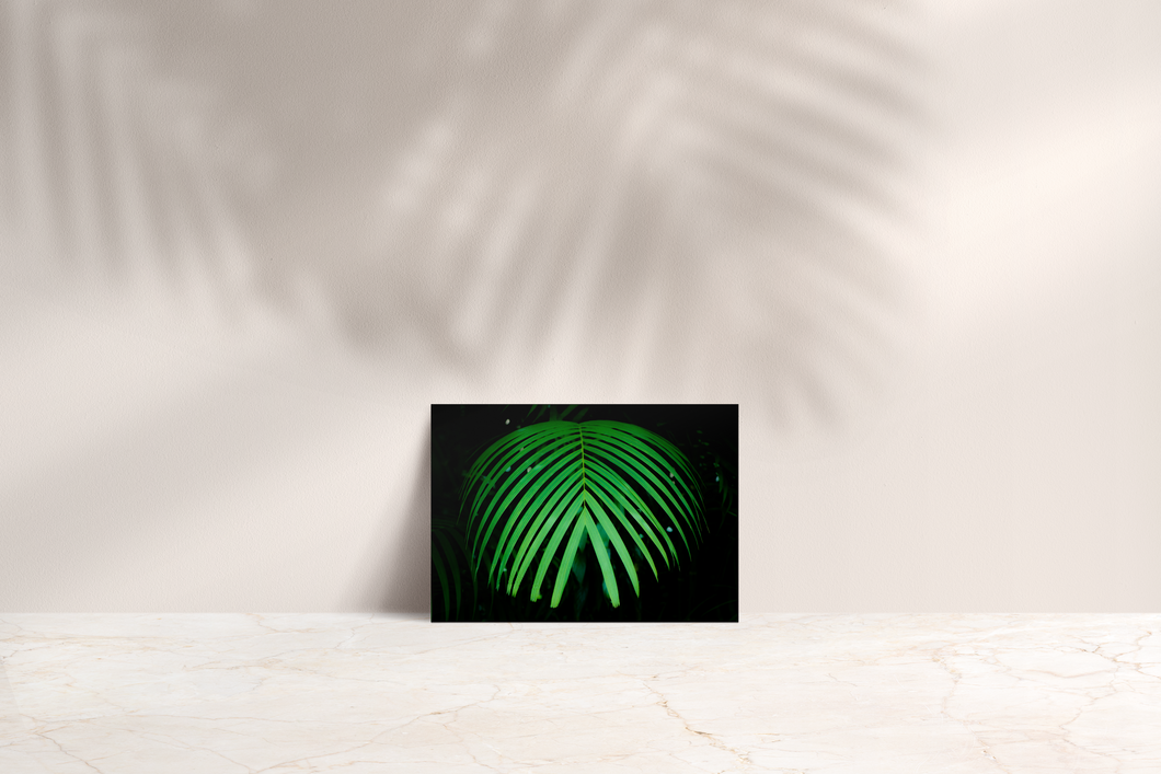 Green Palm Frond, dark background, Rainforest, Oahu, Hawaii, Folded Note Card, Image
