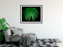 Load image into Gallery viewer, Green Palm Frond, dark background, Rainforest, Oahu, Hawaii, Framed Matted Photo Print, Living Room Interior, Image
