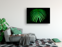 Load image into Gallery viewer, Green Palm Frond, dark background, Rainforest, Oahu, Hawaii, Metal Art Print, Living Room Interior, Image
