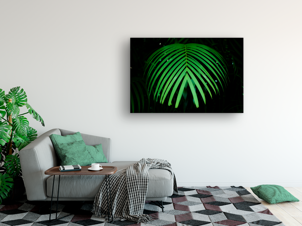 Green Palm Frond, dark background, Rainforest, Oahu, Hawaii, Metal Art Print, Living Room Interior, Image