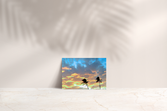 Palm Tree Silhouettes, Blue and Orange Sky, Clouds, Waikiki, Oahu, Hawaii, Folded Note Card, Image