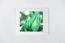 Load image into Gallery viewer, Jade vine plant, macro photography, abstract, Oahu, Hawaii, Framed Matted Photo Print, Image
