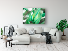 Load image into Gallery viewer, Jade vine plant, macro photography, abstract, Oahu, Hawaii, Metal Art Photo Print, Living Room Interior, Image
