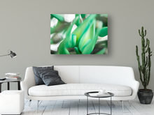 Load image into Gallery viewer, Jade vine plant, macro photography, abstract, Oahu, Hawaii, Metal Art Photo Print, Living Room Interior, Image
