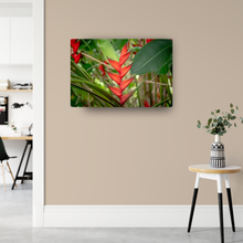 Load image into Gallery viewer, Red heliconias, lush green jungle foliage, Oahu, Hawaii, Metal Art Print, Interior Entryway, Image
