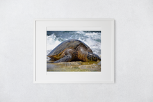Load image into Gallery viewer, Hawaiian green sea turtle, Ocean, Rocky Shore, North Shore, Oahu, Hawaii, Matted Photo Print, Image
