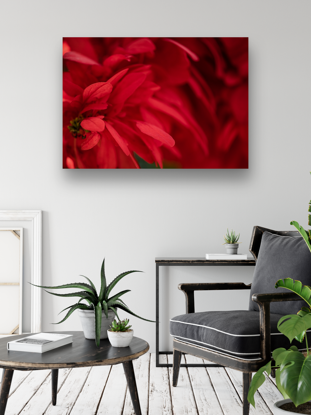 Red flower petals, closeup, macro, Manoa, Oahu, Hawaii, Metal Art Print, Image