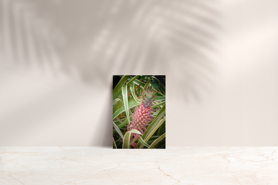 Tiny, Pink Pineapple, Leaves, Oahu, Hawaii, Folded Note Card, Image