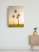 Load image into Gallery viewer, Palm Trees, Golden Sunset, Ocean, Grass, Waikiki, Oahu, Hawaii, Metal Art Print, Interior Entryway, Image
