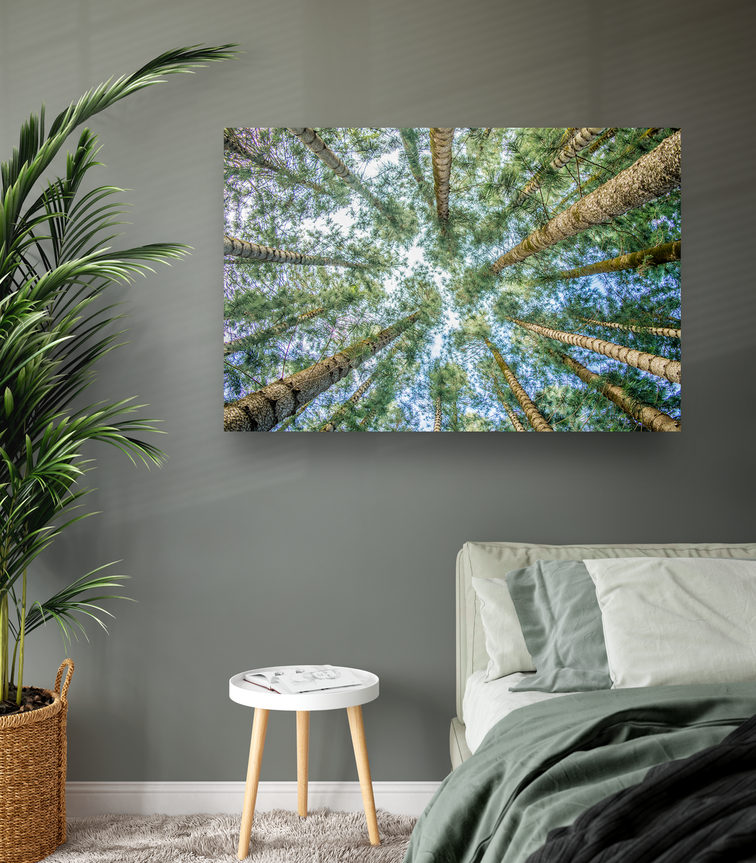 Cook Pine Trees, Sky, Oahu, Hawaii, Metal Art Print, Interior Bedroom, Image