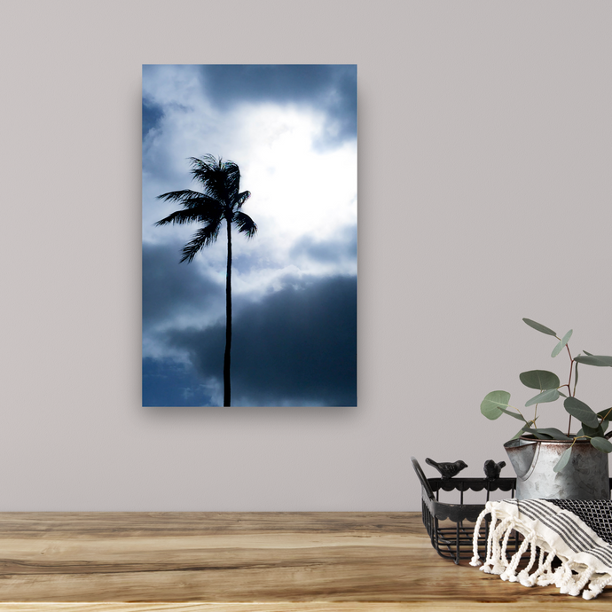 Blue tones, silhouetted palm tree, cloudy sky, Waikiki, Oahu, Hawaii, Kitchen Interior, Image