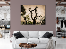 Load image into Gallery viewer, Tree silhouette, Leaves, Clouds, Abstract, Oahu, Hawaii, Metal Art Print, Interior Living Room, Image
