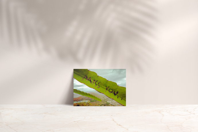 Miss You, Plant Leaf, Hanauma Bay, Cloudy Sky, Oahu, Hawaii, Folded Note Card, Image