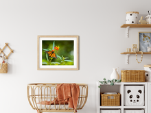 Load image into Gallery viewer, Orange Monarch Butterfly, Red and Yellow Flowers, Lush Green Garden, Oahu, Hawaii, Framed Matted Photo Print, Kids&#39; Room Interior, Image
