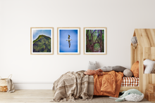 Load image into Gallery viewer, Albatross, Blue Sky, Ka’ena Point Oahu, Hawaii, Framed Matted Photo Print, Kids&#39; Room Interior, Image
