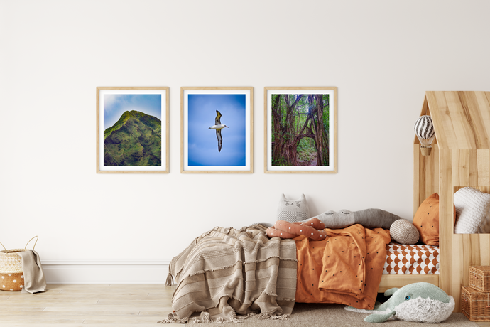 Albatross, Blue Sky, Ka’ena Point Oahu, Hawaii, Framed Matted Photo Print, Kids' Room Interior, Image