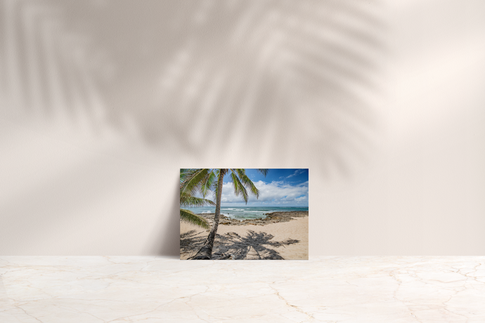 Coconut Palm Tree, Ocean, Lava Rock, Sand, White Puffy Clouds, Blue Sky, Shadow, North Shore, Oahu, Hawaii, Folded Note Card, Image