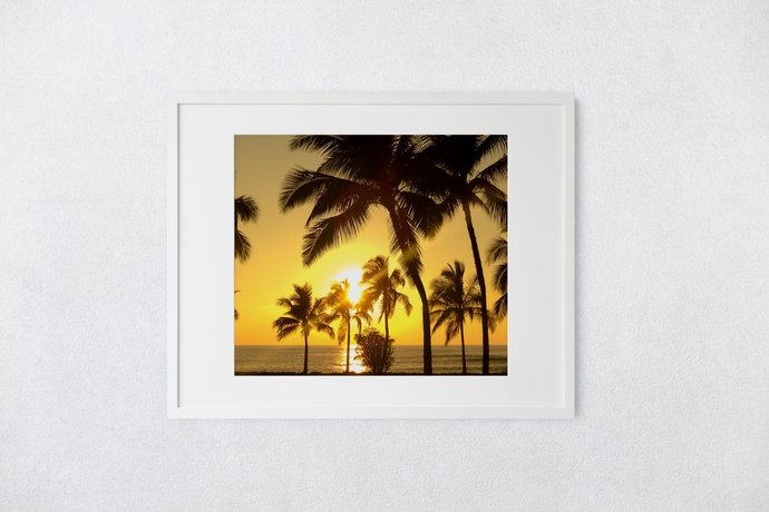 Palm trees, Silhouette, Golden Sunset, Ocean, Oahu, Hawaii, Matted Photo Print, Image